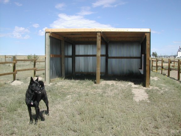 new roof part deux