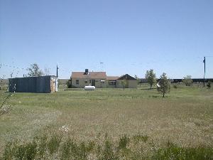 back yard