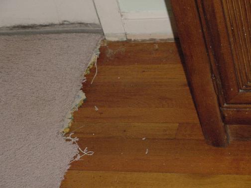 wood floors!