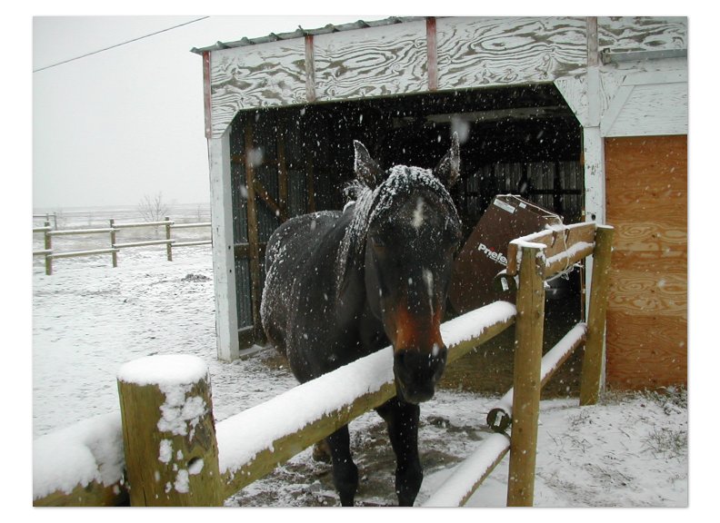 still snowing