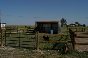 corral number two