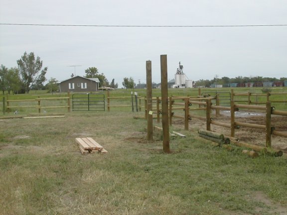 shed posts going up